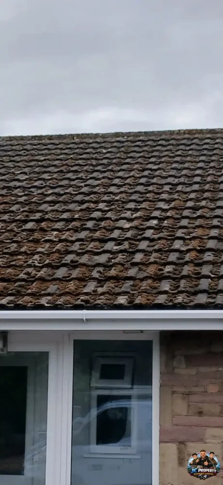 Roofing Project 14